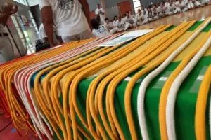 Festa da Capoeira - Marseille 2025 - Parte 2